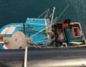 Crab boat offloading